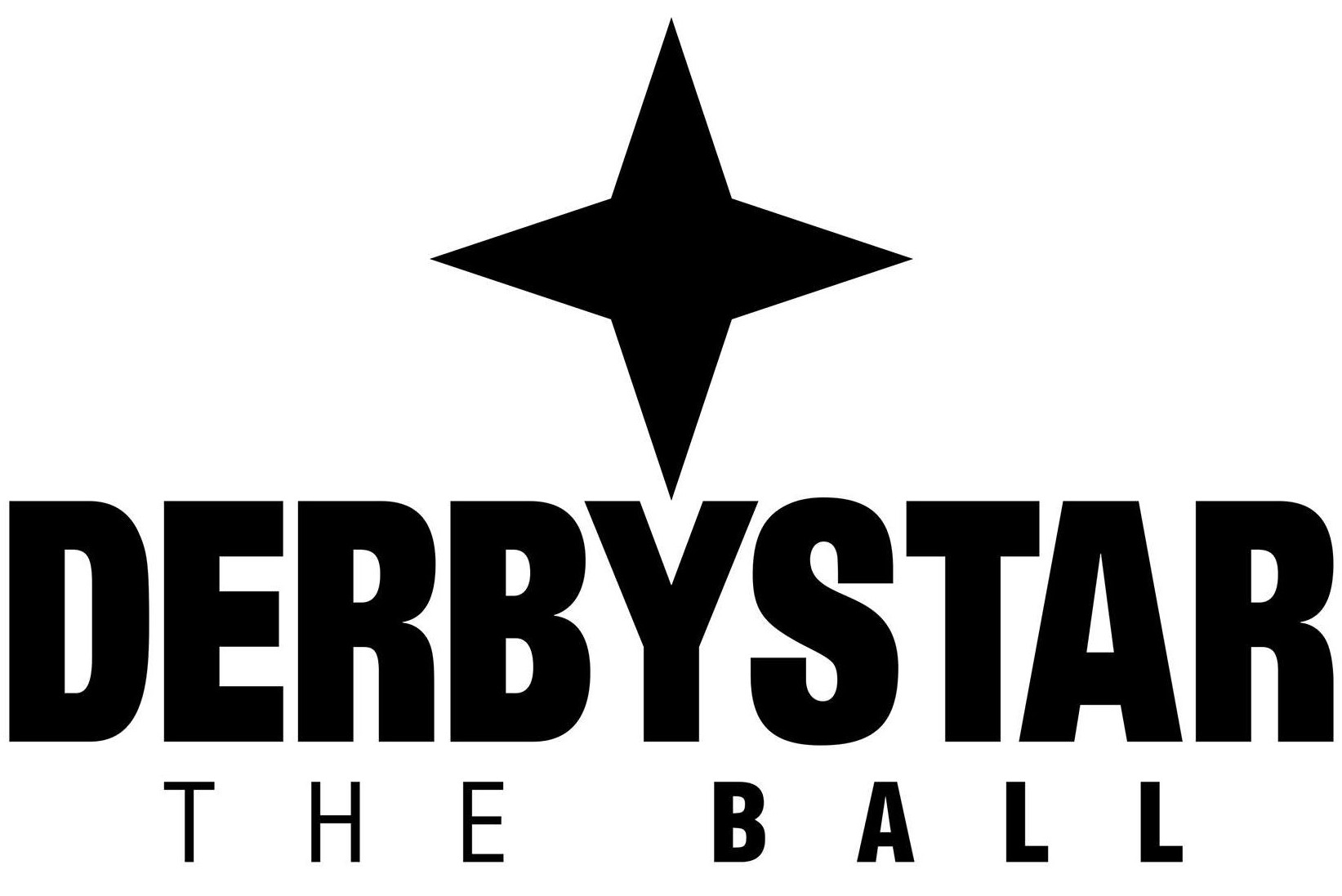 Firma Derbystar